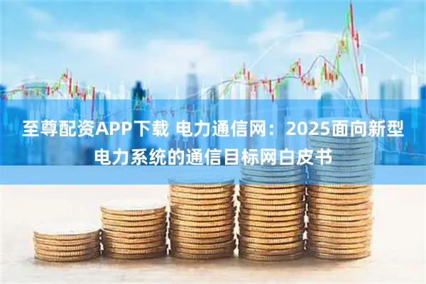 至尊配资APP下载 电力通信网：2025面向新型电力系统的通信目标网白皮书