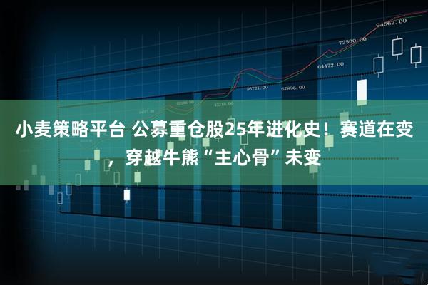 小麦策略平台 公募重仓股25年进化史！赛道在变，穿越牛熊“主心骨”未变