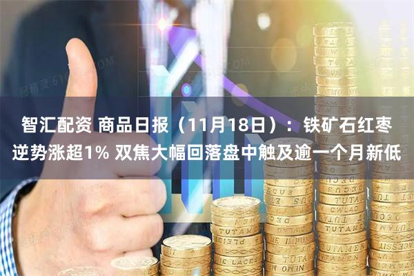 智汇配资 商品日报（11月18日）：铁矿石红枣逆势涨超1% 双焦大幅回落盘中触及逾一个月新低