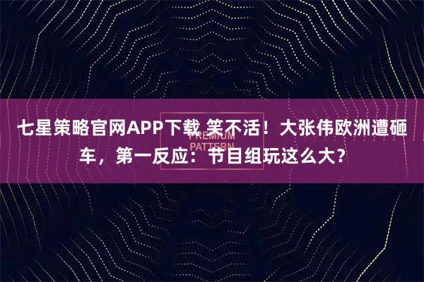 七星策略官网APP下载 笑不活!大张伟欧洲遭砸车,第一反应:节目组玩这么大?