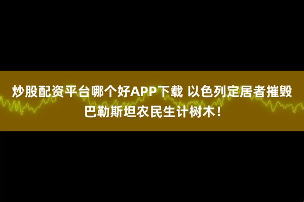 炒股配资平台哪个好APP下载 以色列定居者摧毁巴勒斯坦农民生计树木！